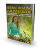 Thumbnail Herbal Healing For Everybody 